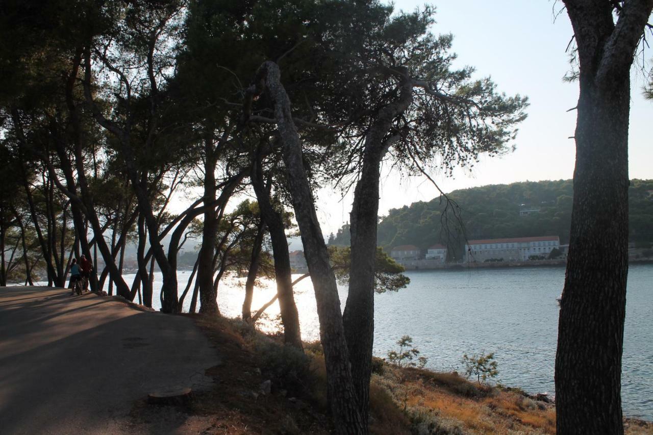 Covahouse Daire Jelsa  Dış mekan fotoğraf