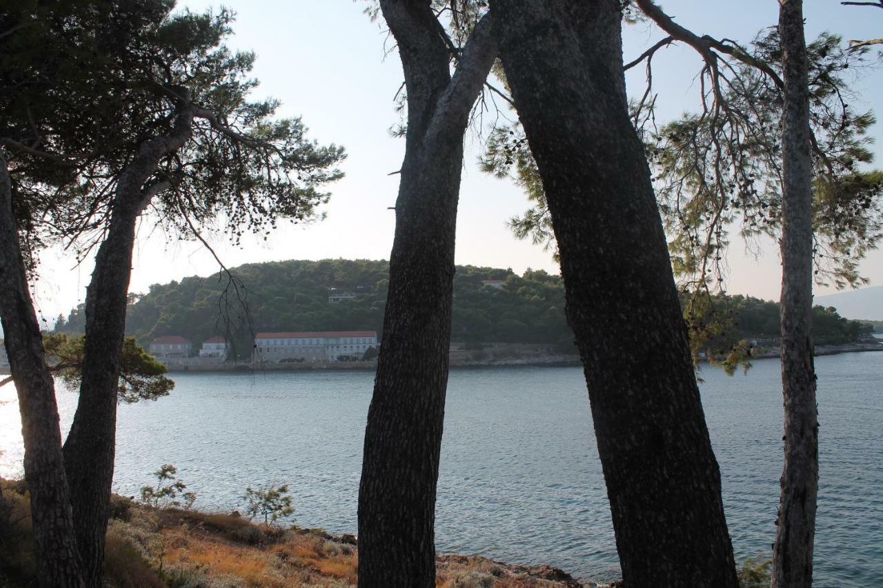 Covahouse Daire Jelsa  Dış mekan fotoğraf