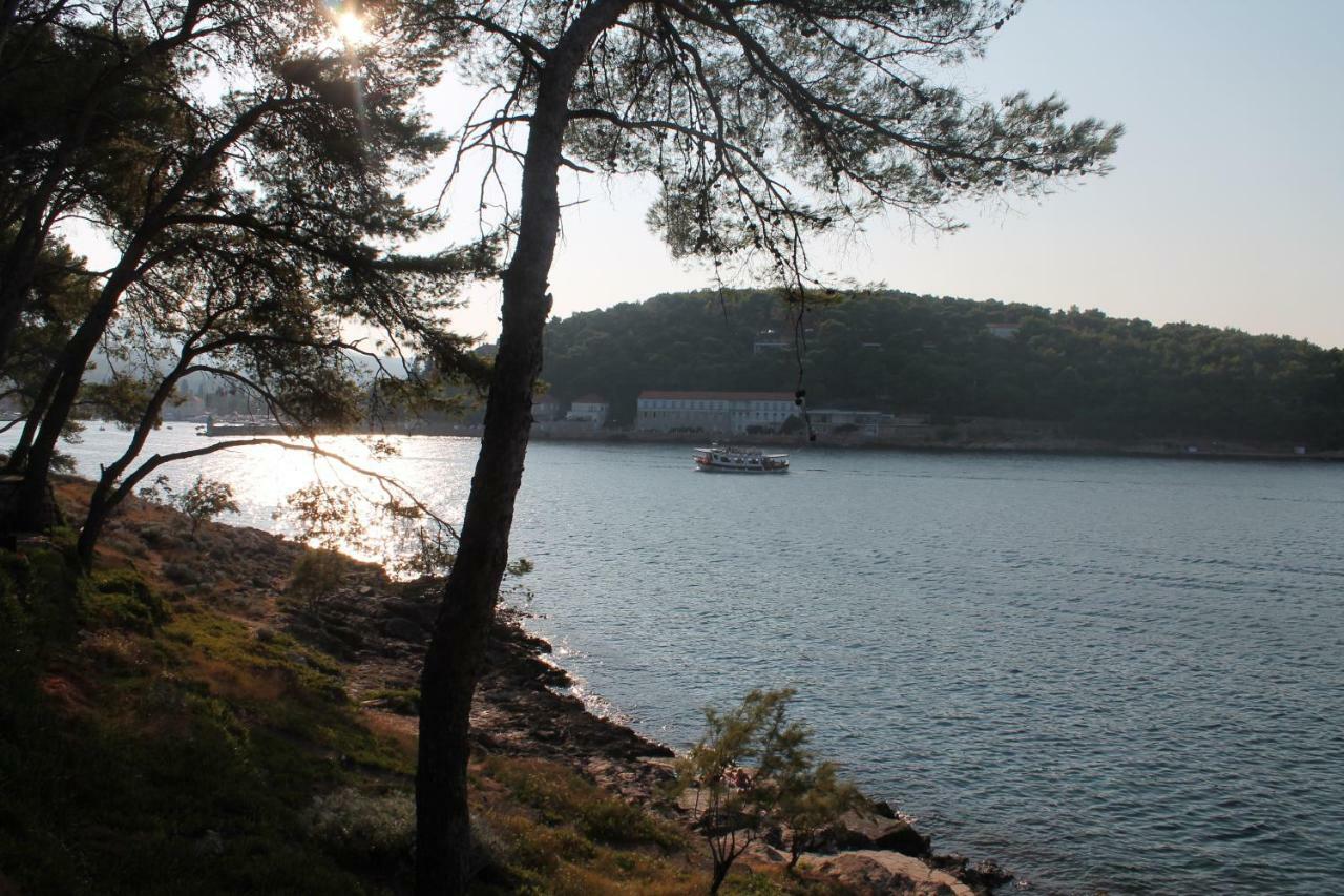 Covahouse Daire Jelsa  Dış mekan fotoğraf