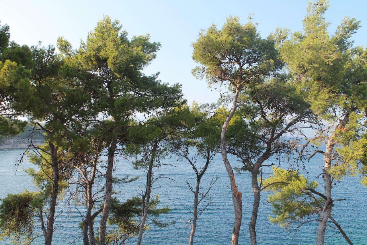 Covahouse Daire Jelsa  Dış mekan fotoğraf